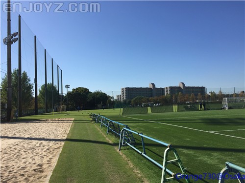 迟到的作业《大阪马拉松-无与伦比的经历》