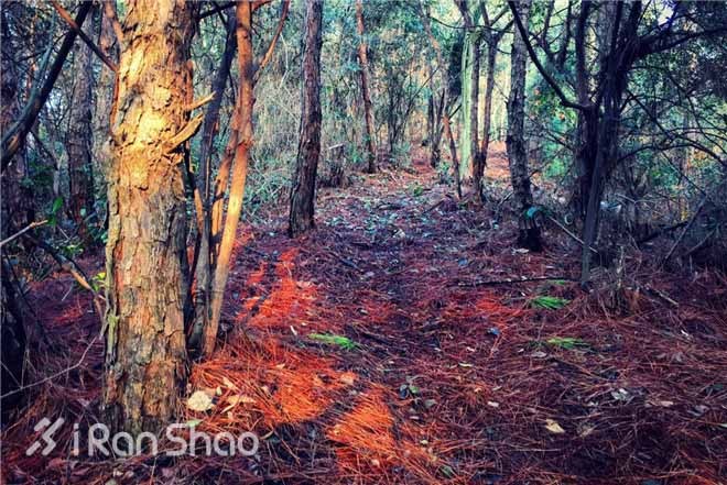 探路 | 追狼X越野赛，一条独特的神秘赛道