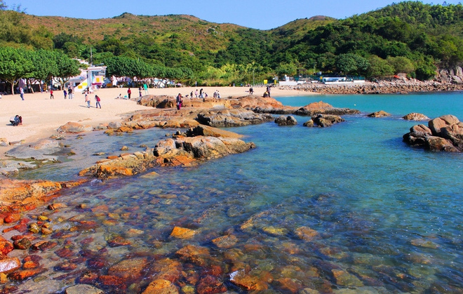 全情投入来爱你 而无论任何天气——致我的第一个港马