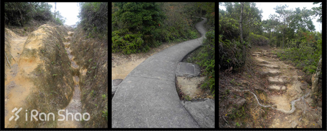 攻略 | 风光无限好，志在金银人，2016 Vibram ® 香港100赛道攻略