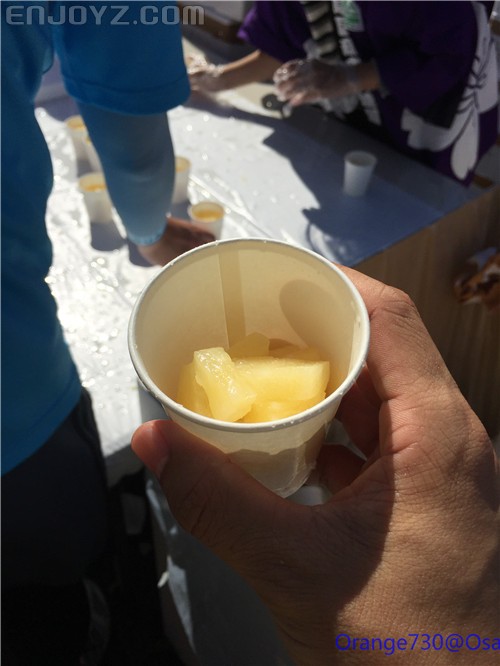 迟到的作业《大阪马拉松-无与伦比的经历》