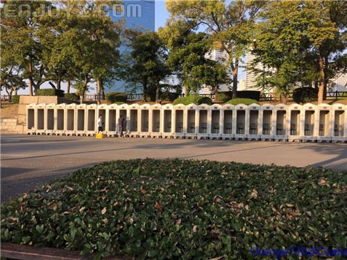 迟到的作业《大阪马拉松-无与伦比的经历》