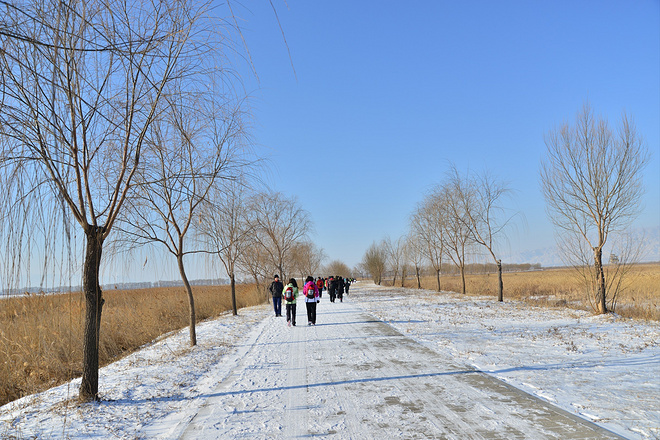 2016野鸭湖冰雪马拉松完赛感受