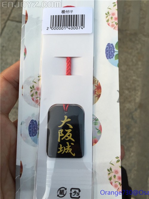 迟到的作业《大阪马拉松-无与伦比的经历》