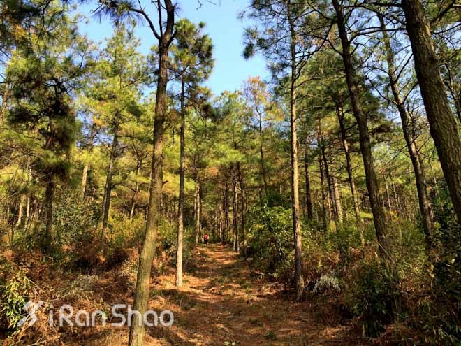 探路 | “春水碧于天，画船听雨眠”之苏州越野赛