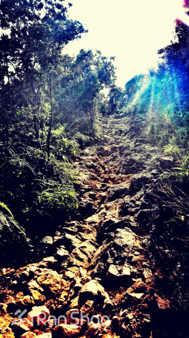 攻略 | 风光无限好，志在金银人，2016 Vibram ® 香港100赛道攻略