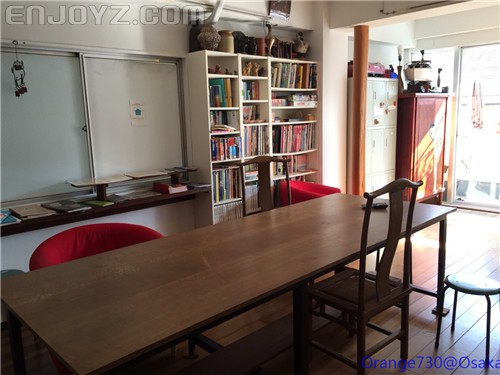 迟到的作业《大阪马拉松-无与伦比的经历》