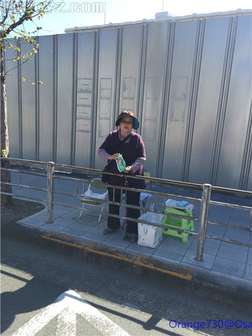 迟到的作业《大阪马拉松-无与伦比的经历》