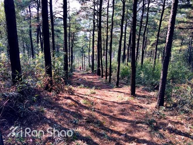 探路 | “春水碧于天，画船听雨眠”之苏州越野赛