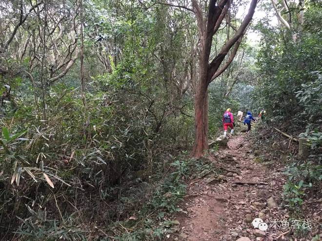 2016 VibramHK100 -- 路只能进，不能停，更不能退