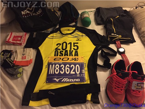 迟到的作业《大阪马拉松-无与伦比的经历》