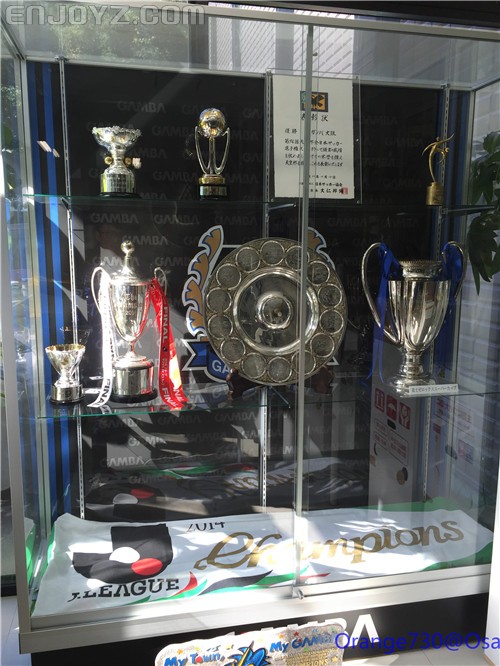 迟到的作业《大阪马拉松-无与伦比的经历》