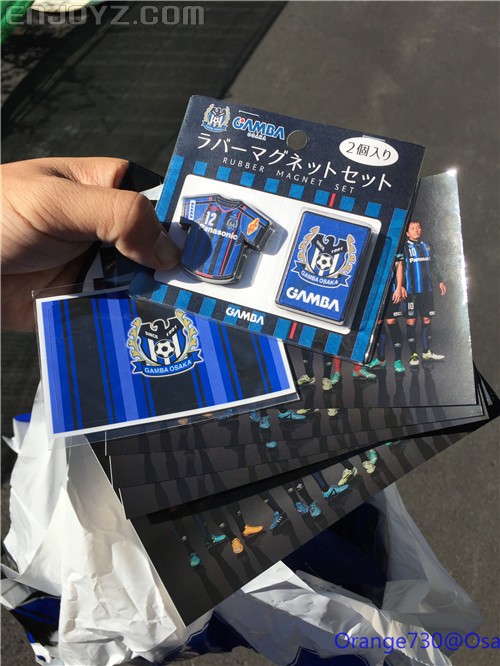 迟到的作业《大阪马拉松-无与伦比的经历》