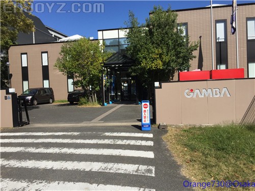 迟到的作业《大阪马拉松-无与伦比的经历》