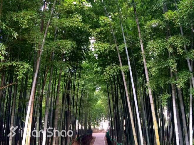 探路 | “春水碧于天，画船听雨眠”之苏州越野赛