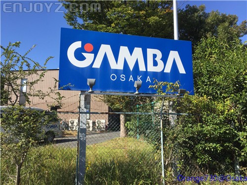 迟到的作业《大阪马拉松-无与伦比的经历》