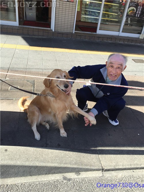 迟到的作业《大阪马拉松-无与伦比的经历》