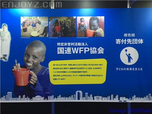 迟到的作业《大阪马拉松-无与伦比的经历》