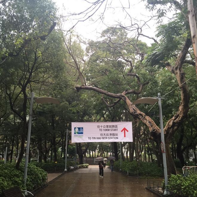 港马20周年-半马开年“猴赛雷”