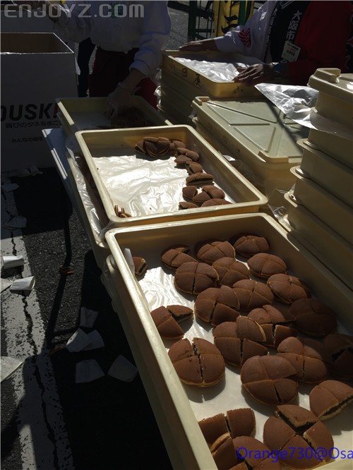 迟到的作业《大阪马拉松-无与伦比的经历》