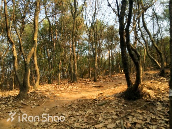 探路 | “春水碧于天，画船听雨眠”之苏州越野赛