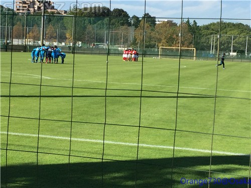 迟到的作业《大阪马拉松-无与伦比的经历》