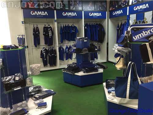 迟到的作业《大阪马拉松-无与伦比的经历》