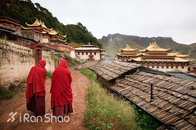 北美超马故事 | 纽约，僧侣和山