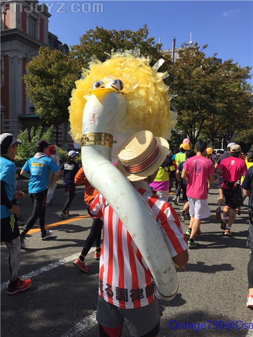 迟到的作业《大阪马拉松-无与伦比的经历》