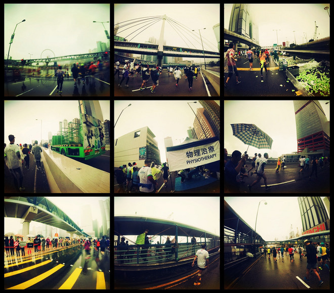 全情投入来爱你 而无论任何天气——致我的第一个港马