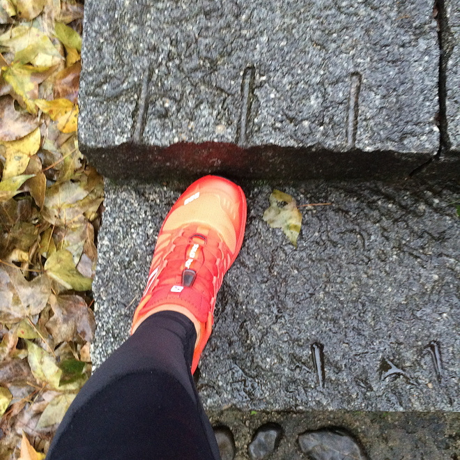 翻过大帽山，没有大帽衫——环大帽山退赛记兼评odlo黑酷战神 & Salomon大红鞋