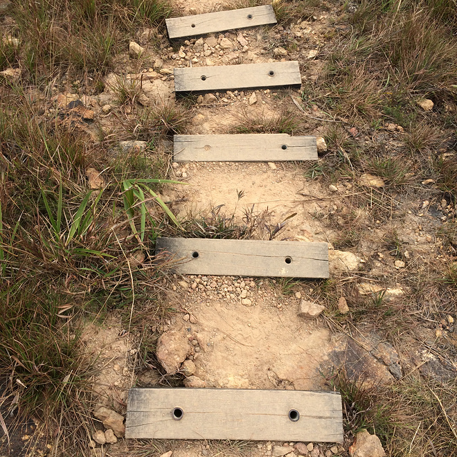 翻过大帽山，没有大帽衫——环大帽山退赛记兼评odlo黑酷战神 & Salomon大红鞋