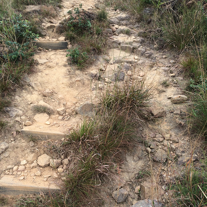 翻过大帽山，没有大帽衫——环大帽山退赛记兼评odlo黑酷战神 & Salomon大红鞋