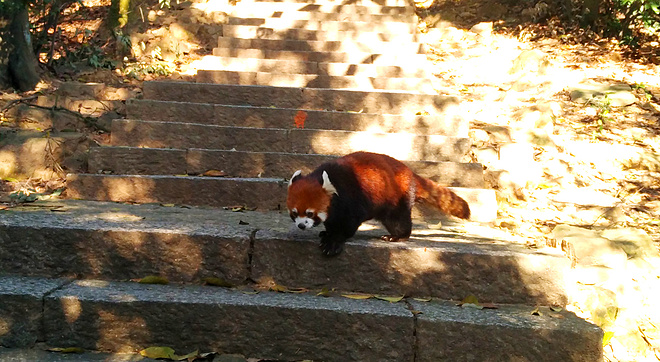 谢谢港百-让我从痛苦中解脱