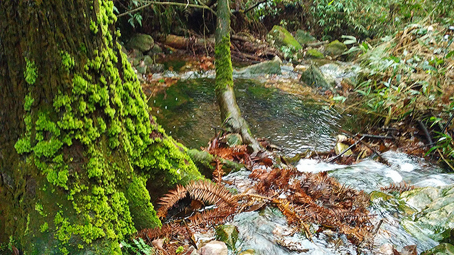 谢谢港百-让我从痛苦中解脱