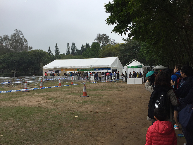 记生命中第一次雨战马拉松——2016港马