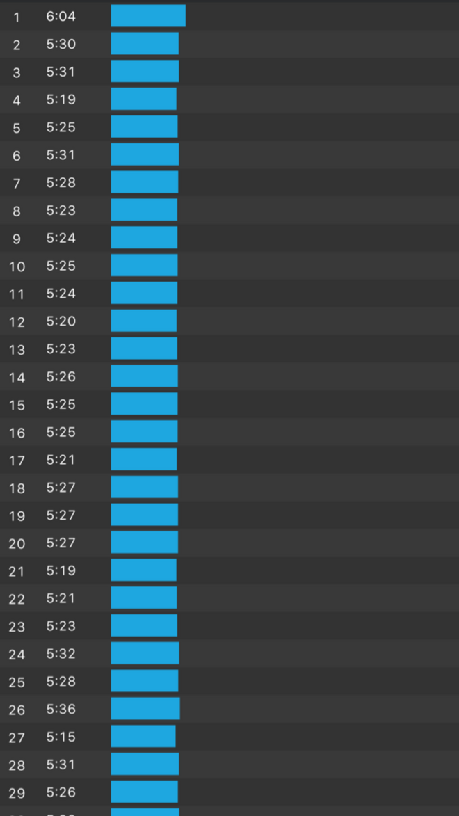 是等太阳升起还是意外先来临        -----记一次意外全马PB的来临