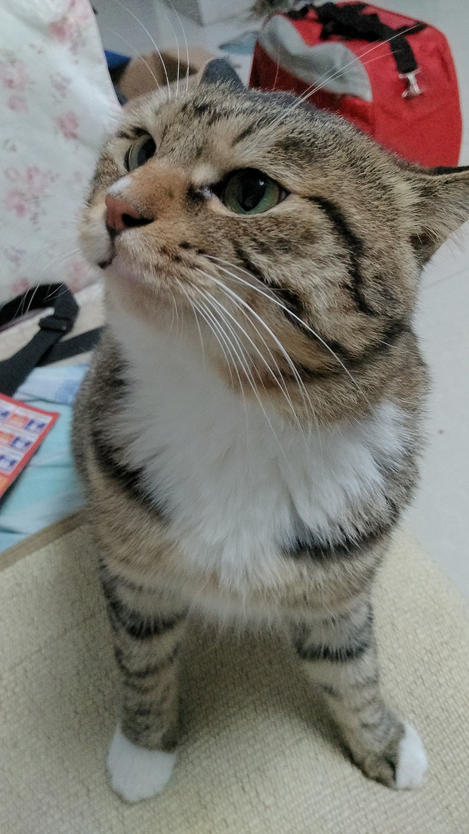 半年从3公里到全程马拉松，跑步经验谈