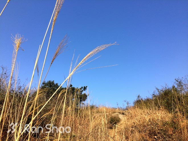 探路 | “春水碧于天，画船听雨眠”之苏州越野赛