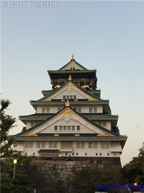 迟到的作业《大阪马拉松-无与伦比的经历》