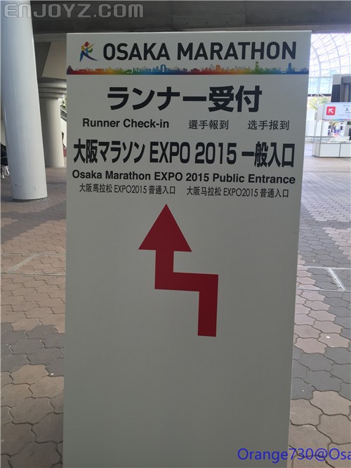 迟到的作业《大阪马拉松-无与伦比的经历》