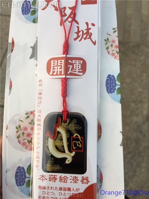 迟到的作业《大阪马拉松-无与伦比的经历》