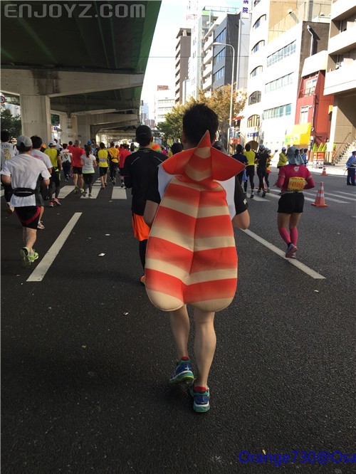 迟到的作业《大阪马拉松-无与伦比的经历》