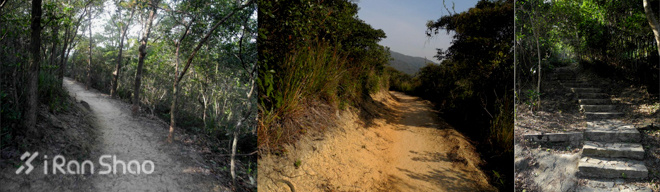 攻略 | 风光无限好，志在金银人，2016 Vibram ® 香港100赛道攻略