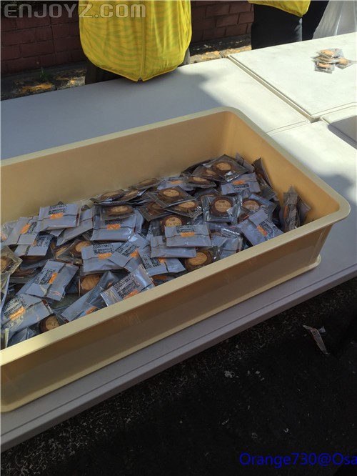 迟到的作业《大阪马拉松-无与伦比的经历》