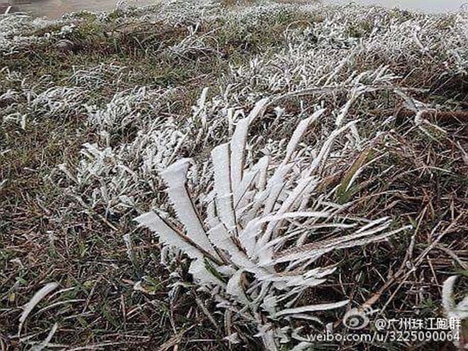 HK100 | 香港100：大帽山下，见人心