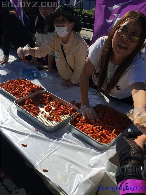 迟到的作业《大阪马拉松-无与伦比的经历》