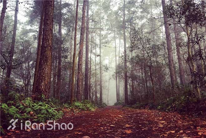 探路 | 追狼X越野赛，一条独特的神秘赛道