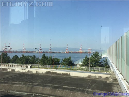 迟到的作业《大阪马拉松-无与伦比的经历》