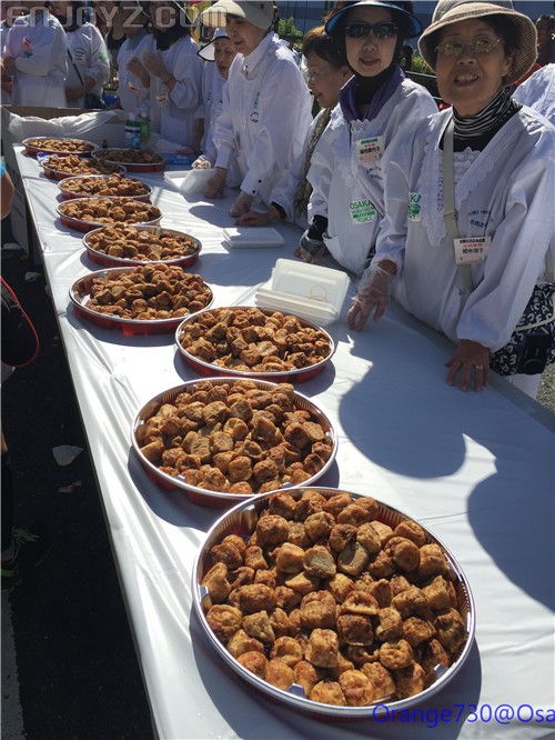 迟到的作业《大阪马拉松-无与伦比的经历》